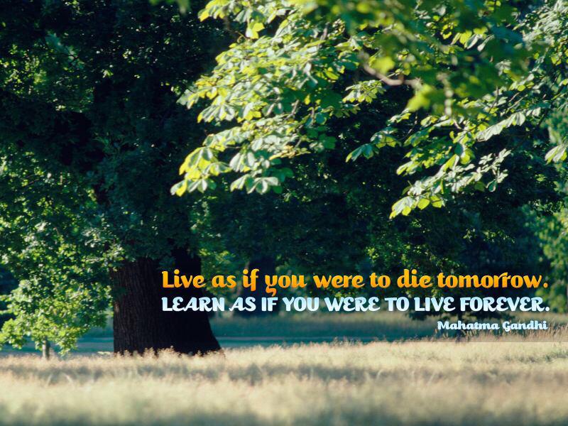 CRTechnical's tweet image. I live a positive life...  Live!  Learn!  Laugh!  Love!  Happy Saturday #HamOnt