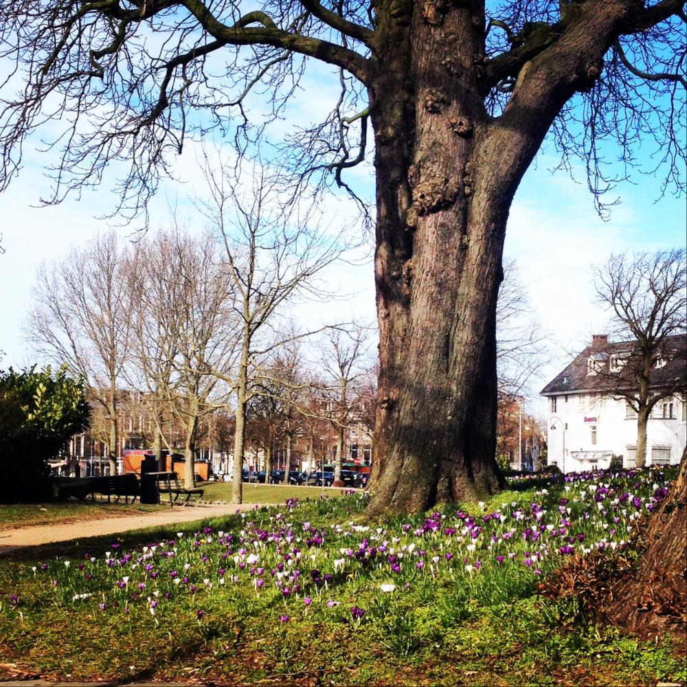 BibideWare's tweet image. Als ik het niet dacht... De lente is onderweg #cantfoolme