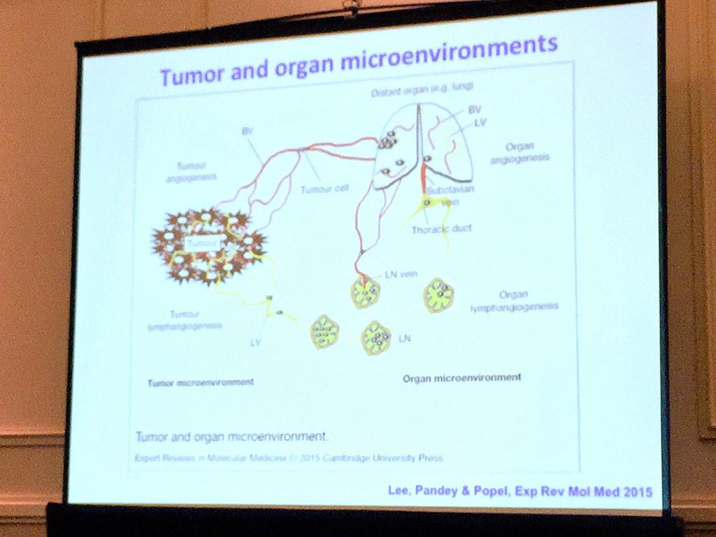ara_anderson's tweet image. Popel discusses his work on complex tumour and organ microenvironments @MathCancer will be interested! #icbppsocmath