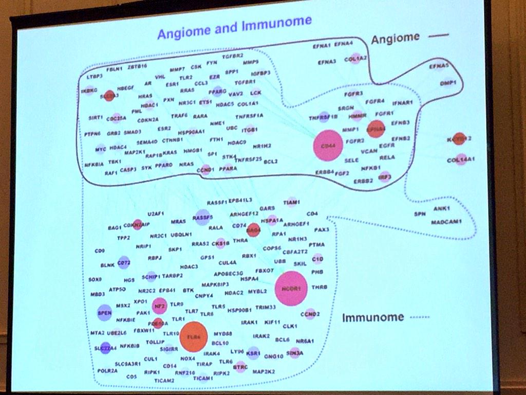 ara_anderson's tweet image. Popel defines molecularly the Angiome and the Immunome and shows how these hubs interact #icbppsocmath