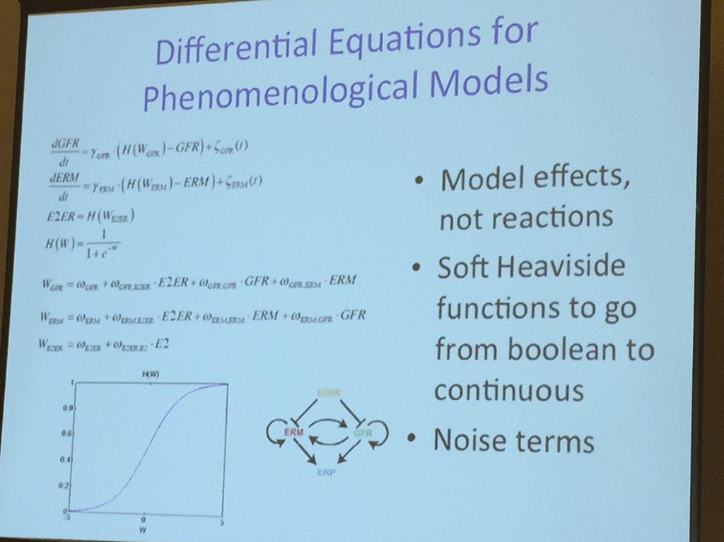 ara_anderson's tweet image. Baumann shows compact ode model with 4 steady states that correlate with distinct breast cancer states #icbppsocmath