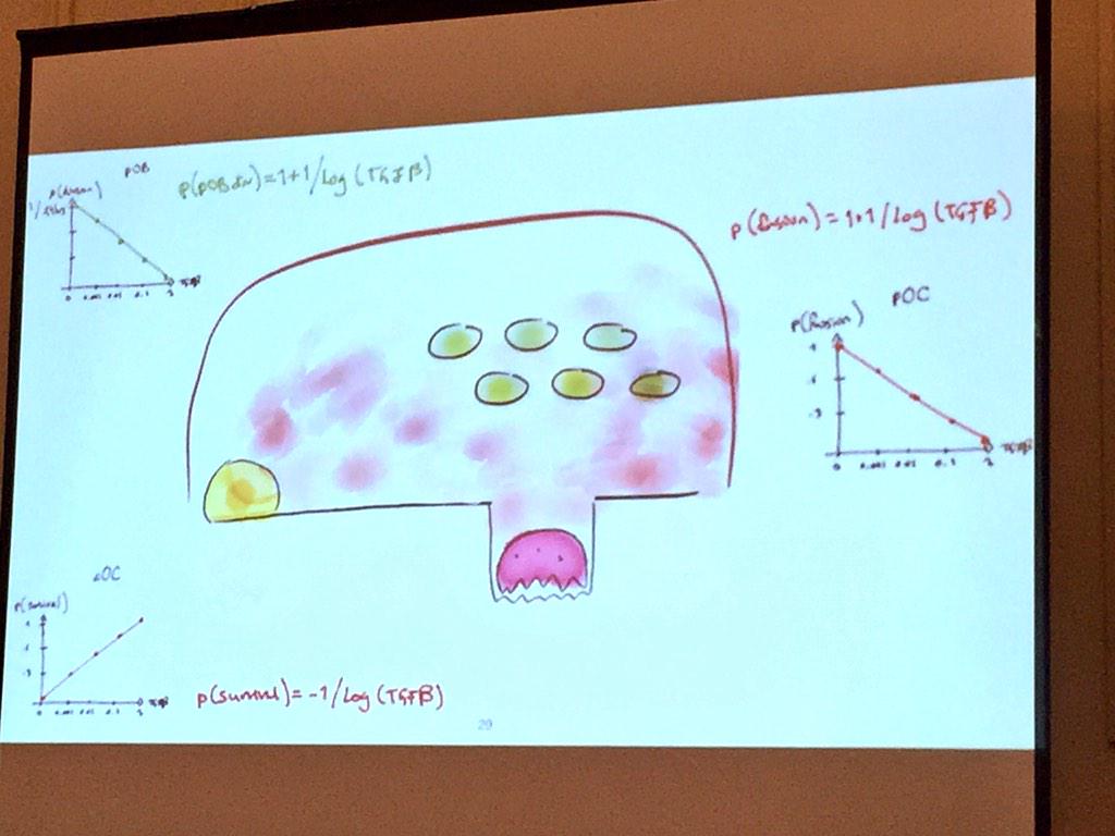 ara_anderson's tweet image. .@dbasanta claims TGF-Beta is important in normal bone &amp;amp; gets hijacked by the cancer #icbppsocmath