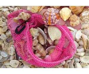 LifeWithKathy's tweet image. FREE Fort Myers shell bag! kathyssavings.com/51999/ #free #FortMyers #shellbag