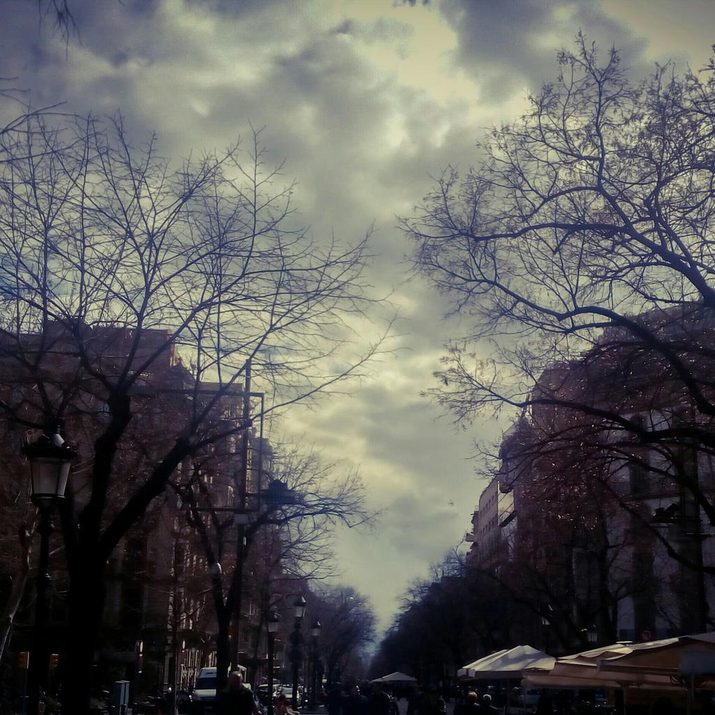 #larambla #hivern #fb