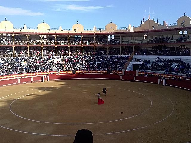 Javi__Segura's tweet photo. Disfrutando de una tarde de toros gracias a @ssampercobo bravo!! Con @patricia815 @pablojguillen y @Gema190 #28F http://t.co/TFEOCC7pu8