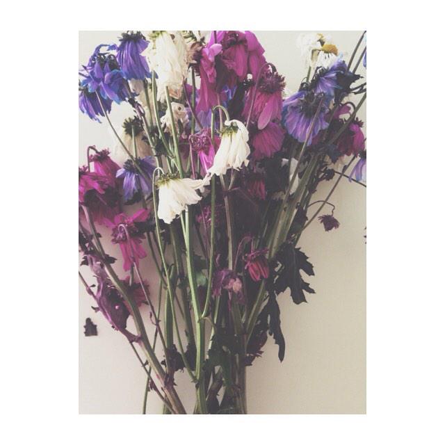 amazonswift's tweet image. My flowers have died and so should your hate #SwiftiesLoveTaylor