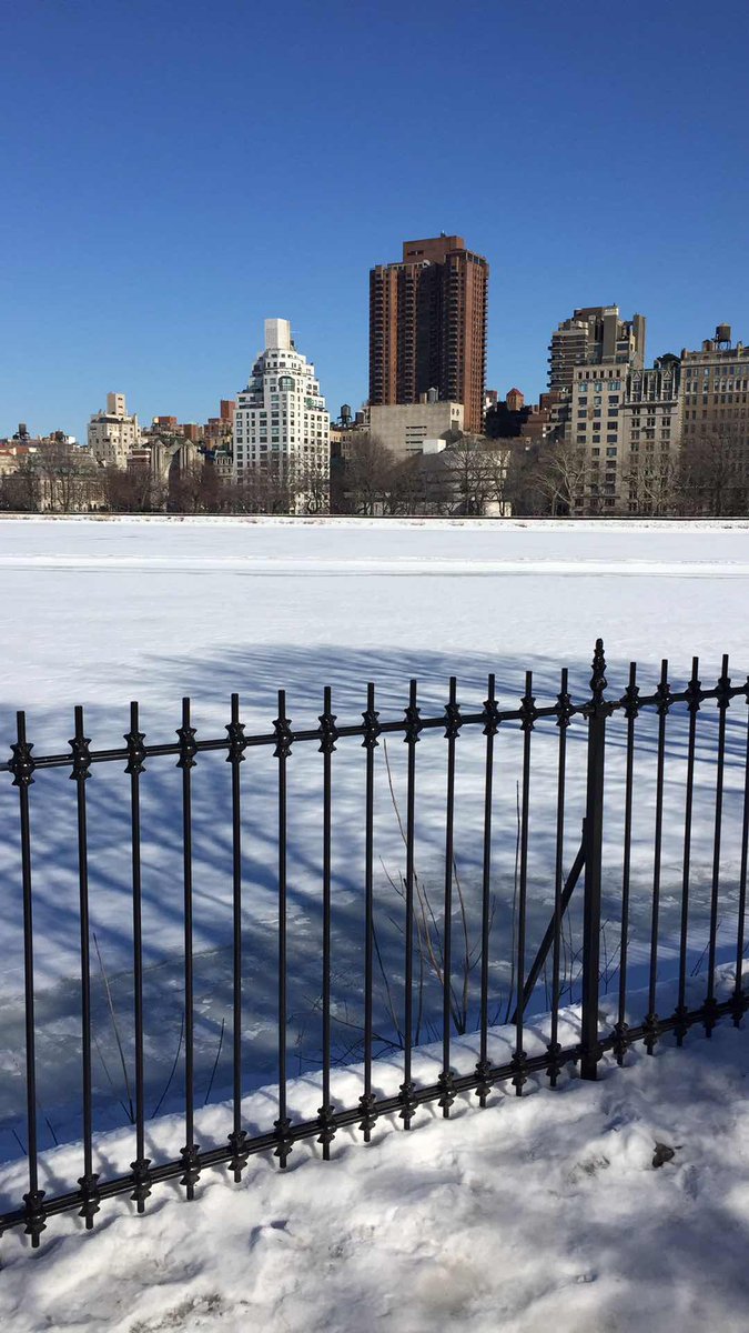piximity's tweet photo. The #snow at #CentralPark looks so perfect.
http://t.co/kSxSbtmb49
#Piximity #POTD #NYC #Manhattan http://t.co/uZfPgGbJPT