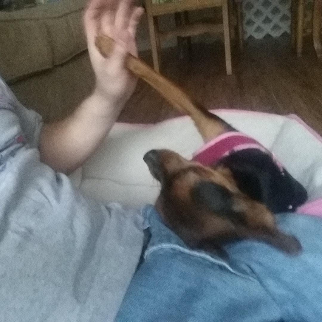 Thanks for the new bed dad...high five!
