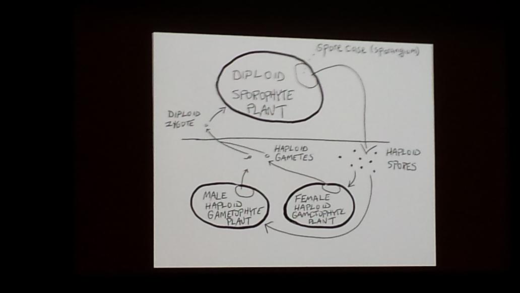 SQRLDOC's tweet photo. Elegant AND effective images at #ONHC2015 http://t.co/D4GwloTj6q