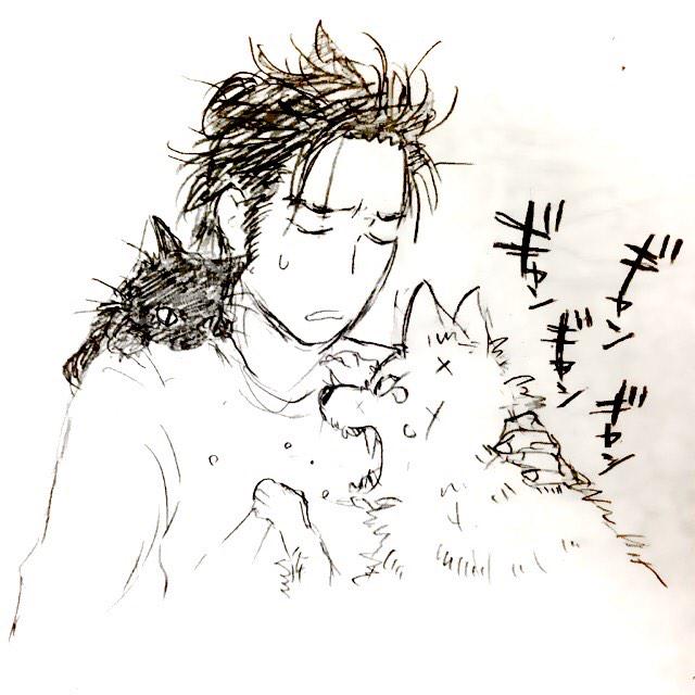 のばらあいこ ちょっと前に描いたリアル犬猫版寄越す犬落書き すどにゃんに引っ掻かれてわめく きくちけん Http T Co Gi4fxfugqy のばらあいこ ちょっと前に描いたリアル犬猫版寄越す犬落書き すどにゃんに引っ掻かれてわめく きくちけん Http T Co Gi4fxfugqy