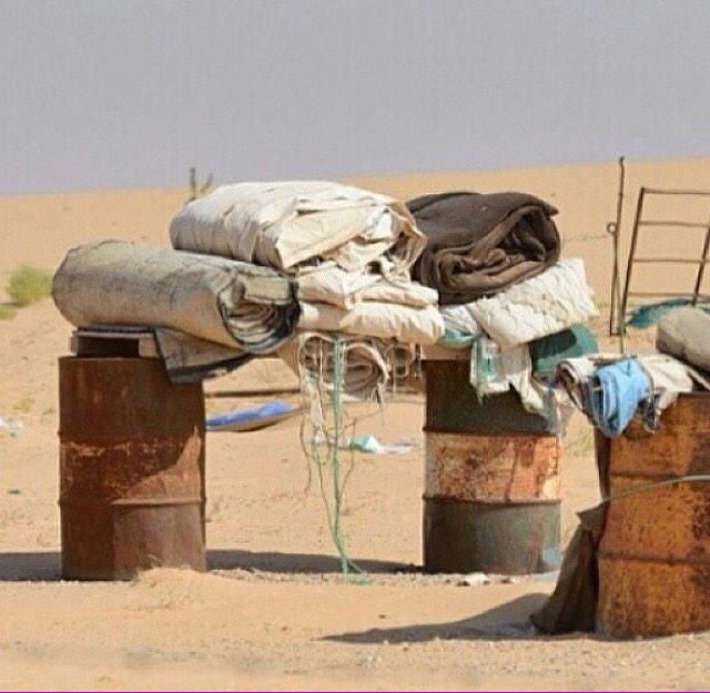 bs2023's tweet image. 