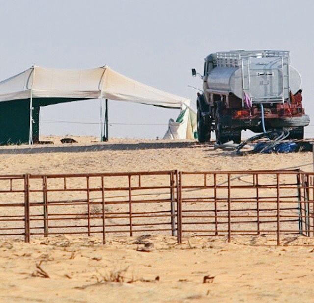 bs2023's tweet image. 