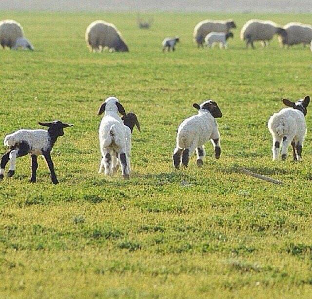 bs2023's tweet image. 