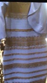 JadaCoolKid124's tweet photo. "Blue or black" "White or Gold" http://t.co/YK13Zn12YY