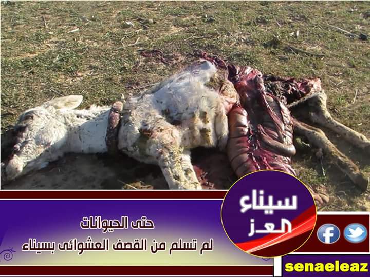 IslamRahman's tweet photo. Pics for latest alleged airstrikes of Sisi's army on N. #Sinai. 
#Egypt #AntiCoup http://t.co/UcOBgJrZmS