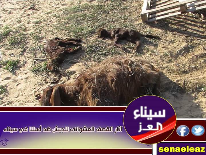 IslamRahman's tweet photo. Pics for latest alleged airstrikes of Sisi's army on N. #Sinai. 
#Egypt #AntiCoup http://t.co/UcOBgJrZmS