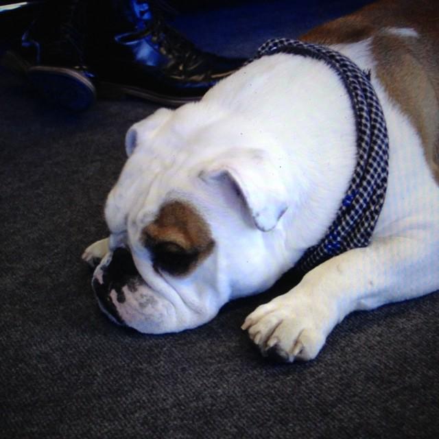 B-9WWD7UwAAFZR6.jpg (600×600)