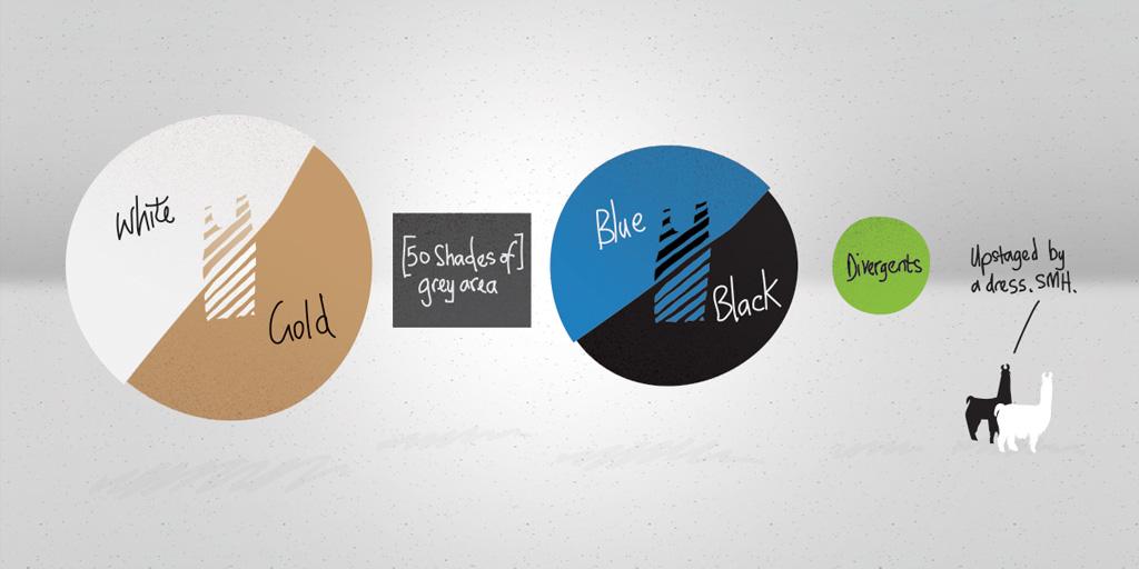 Saxum_US's tweet image. White and gold won #TheDress debate at Saxum. Congrats, Internet. You win this week. Oh, and #freethellamas.