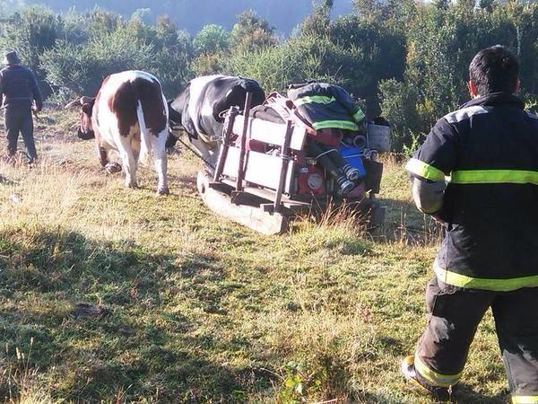 chriperez's tweet photo. APERRADOS Bomberos de Chiloe trasladándose como pueden, esto es una vergüenza para @GobiernodeChile @AhNoticiasMega http://t.co/6rgUwxjibz
