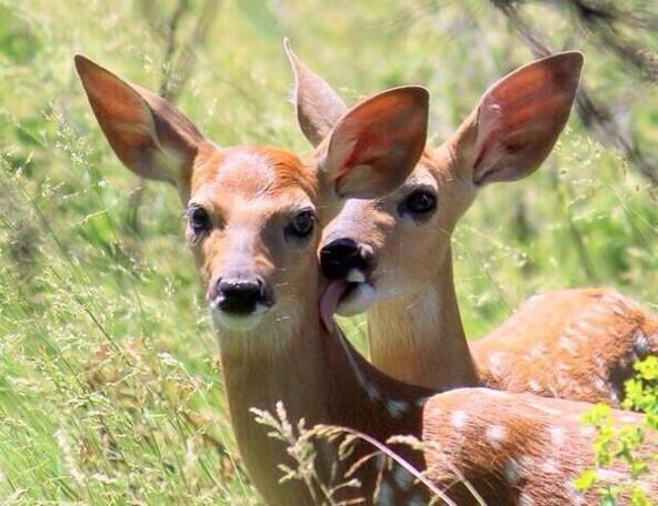 AntiJokeTyrone's tweet photo. when u in public with bae &amp; you see another guy look at her http://t.co/UoOrHZ1R2M