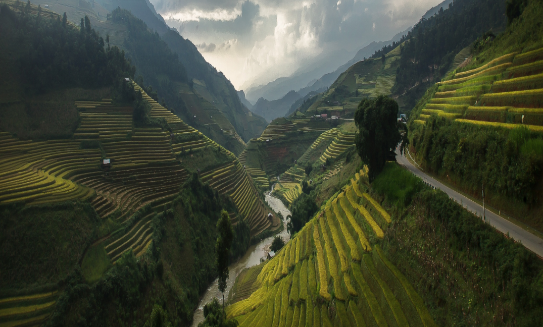 mjdwarner's tweet photo. Road to Heaven, by Jakkree Thampitakkul / 500px  #MuCangChai #Vietnam #steppe #farming #hills #mountains #landscape http://t.co/Xga50kS2AV