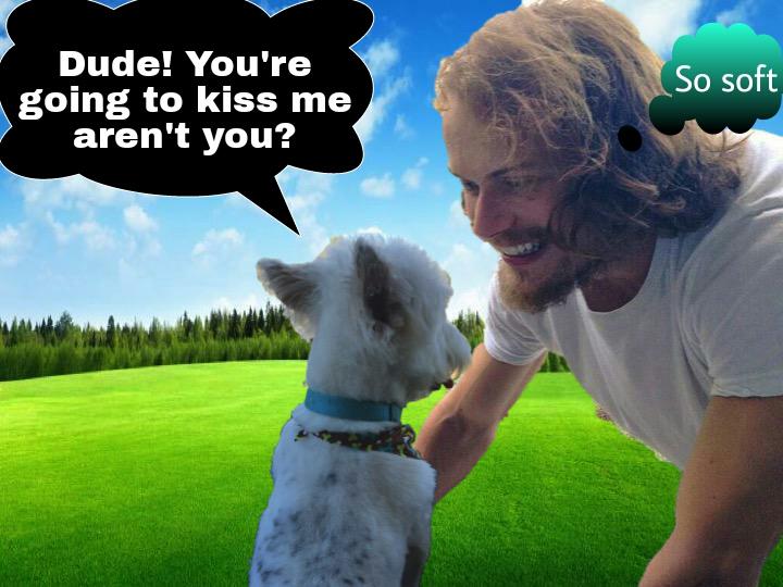 SirenSassenach's tweet photo. @pellicott1 @MimiCipher @sniskybobfry @Bouton_Barks #WhatWouldStudleySay #WhatWouldSamSay here u go lovely. Didnt tag http://t.co/qiLz3pIdBD