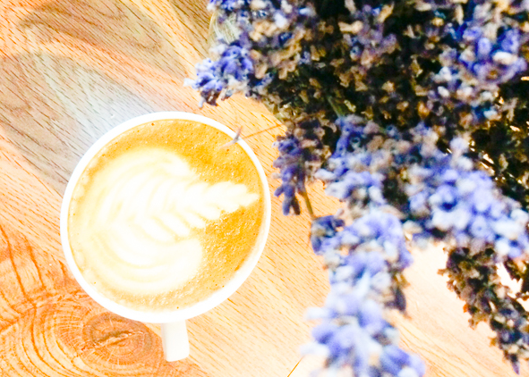 rambledept's tweet image. New recipes up on the blog! Test out this latte recipe with homemade, lavender-infused honey. rambleportland.com/#!LavenderHone…