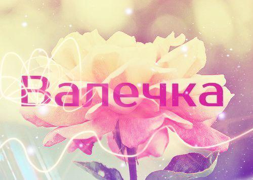 Котенка розой, картинки с надписью я люблю валю