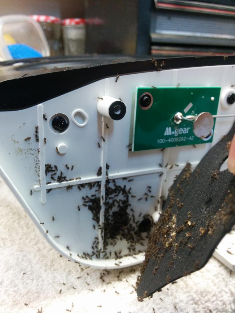matthewrobinso1's tweet photo. More ants in my #Sonos play 5. Yeuch. http://t.co/JEXgnSVvhG