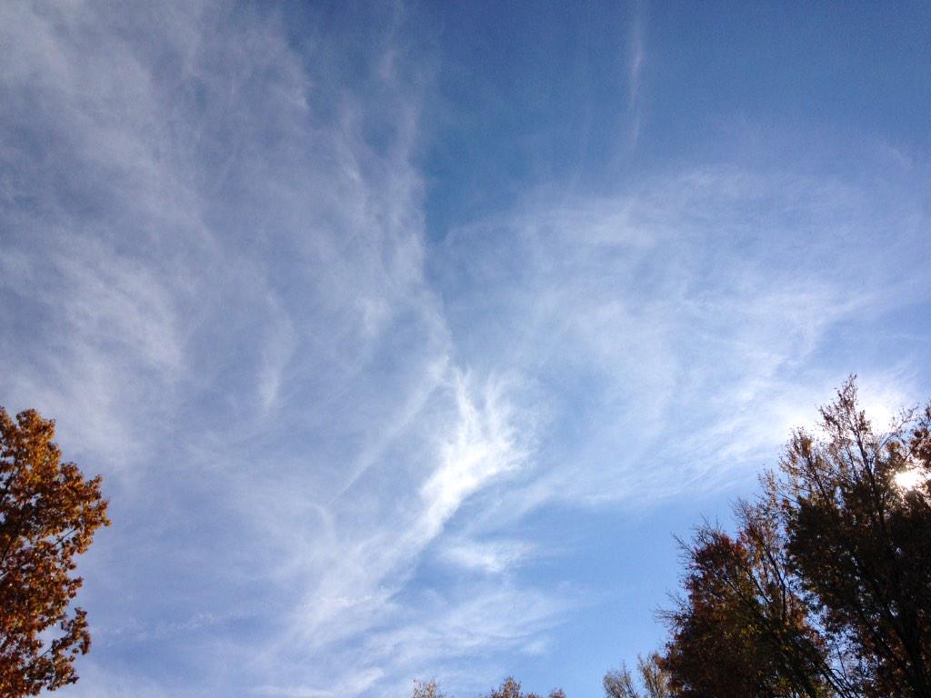 OpChemtrails's tweet photo. #OpChemtrails #TWEETSTORM
#IDEMANDCESSATION
https://t.co/YKqrpuuEat
#geoengineering
