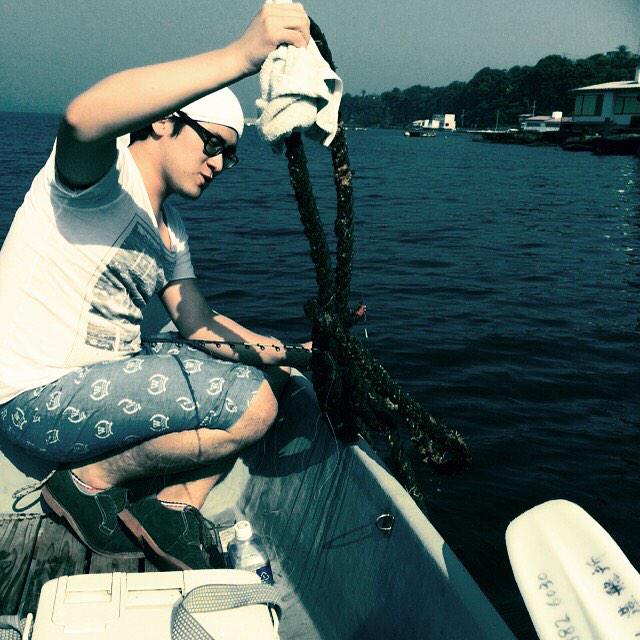 health&peace banana tweet media