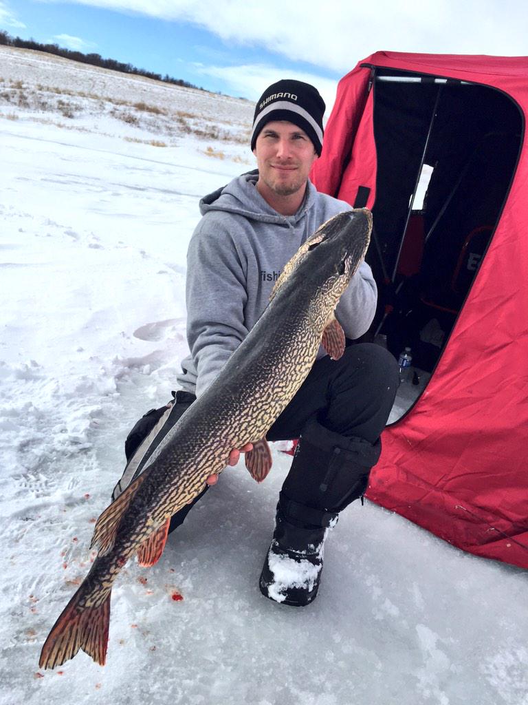What a beautiful Sunday out at Deif. Lots of "O" faces during this trip. #SturgeonTipUp #TigerPike #FishFoLife #OMG