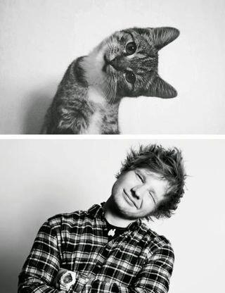 Happy birthday Ed Sheeran  