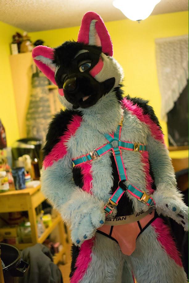 I really really really really really wanted to keep this sexy harness. *beg...