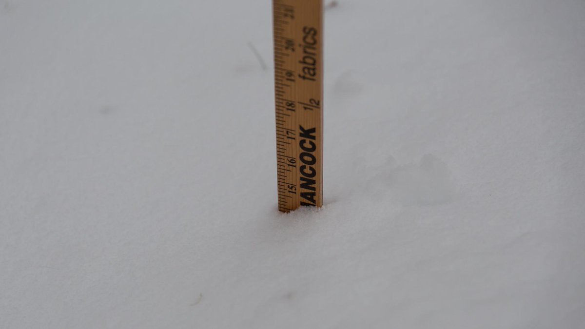 ShakerSteps's tweet photo. Obligatory ruler shot. @Kentuckyweather @micahharriswx @NWSLouisville http://t.co/EY7UphD00r
