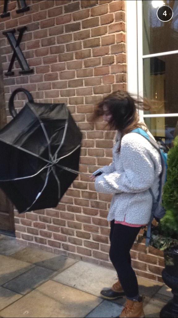 carolinebottch's tweet photo. I am not kidding this is my life in a picture http://t.co/FjVRaMrZRf