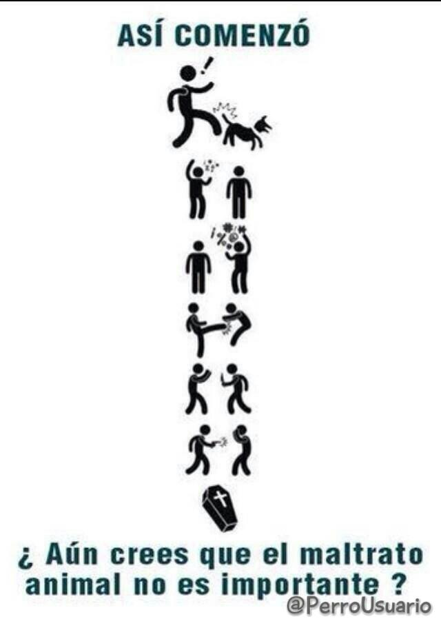 Si detectamos a tiempo las primeras conductas contra los animales, también se podrían prevenir situaciones contra otros seres también vulnerables