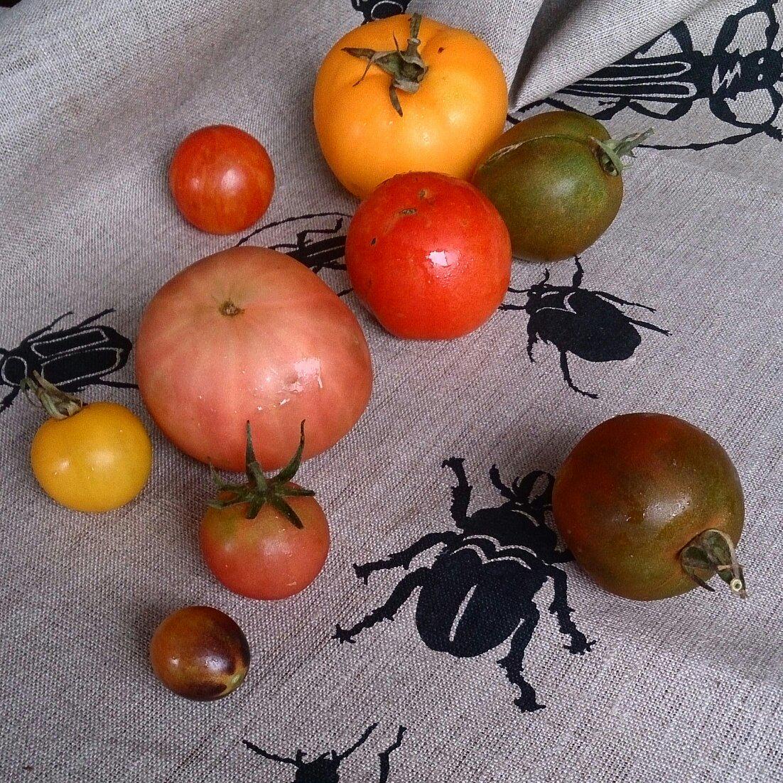 spreadjampickle's tweet photo. GO organic! bugs &amp;all visit @VicFarmrsMarkts any wend @penfreshorganic @angelicaorganic @MelbFarmersMkts  @StKildaFM http://t.co/NUv98U0PAD
