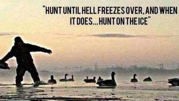SDG_Calls tweet picture
