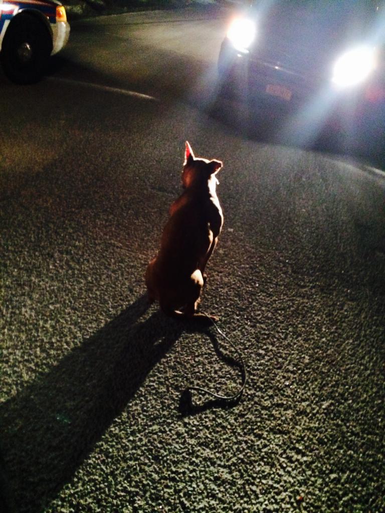 Kristina Negri tweet media