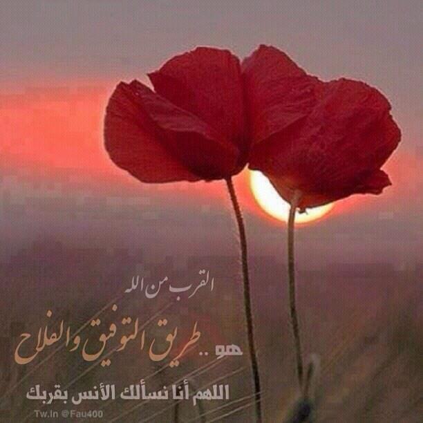 Nabilx12121's tweet photo. اسعد الله صباحكم 
🌹🌹🌹 http://t.co/pFyV8242SY