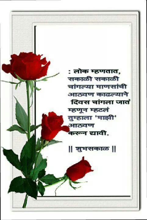 sshree_9's tweet image. 