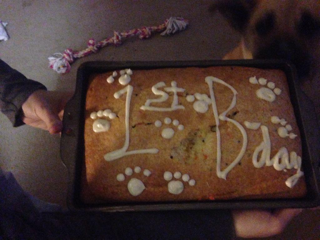 Autumns 1st doggie birthday and I made her a cake