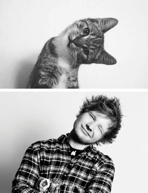  Happy Birthday Ed Sheeran
thanks for all times:3
congratulations !!! 