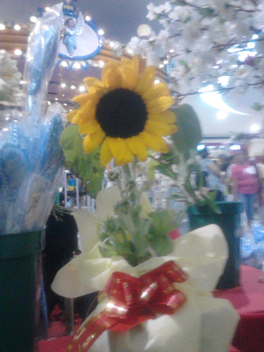 TropangTagasako's tweet photo. Nakita ko lang siya sa mall last Valentine's. Hulaan nyo kung sinong naalala ko! #sepanxattack http://t.co/TaaJwyRMLp