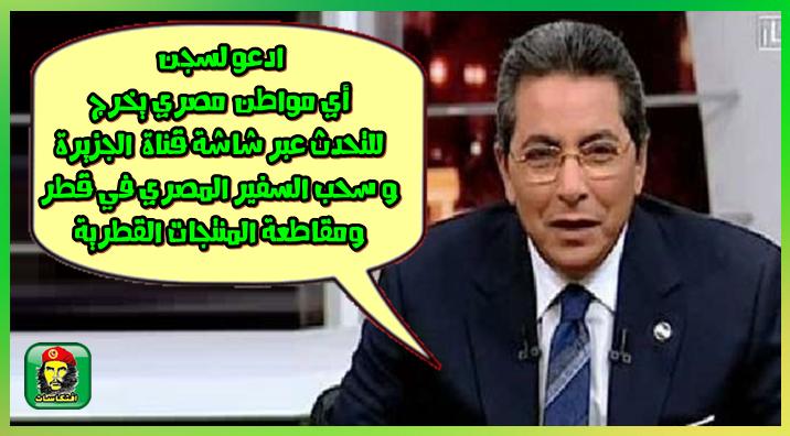 محمود سعد ادعو لسجن أي مواطن مصري يخرج للتحدث عبر شاشة قناة الجزيرة