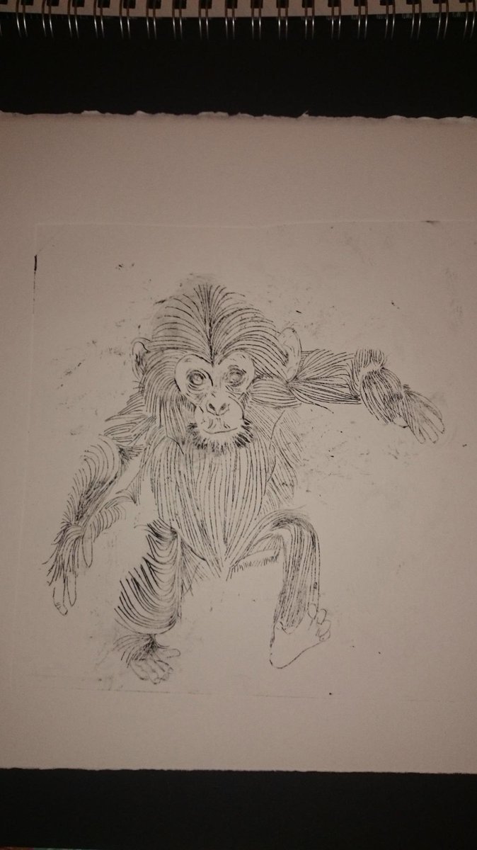 lisa_illustrate's tweet image. A great productive #printing #etching session with #MelMadeDesign yesterday, thanks!!! :))