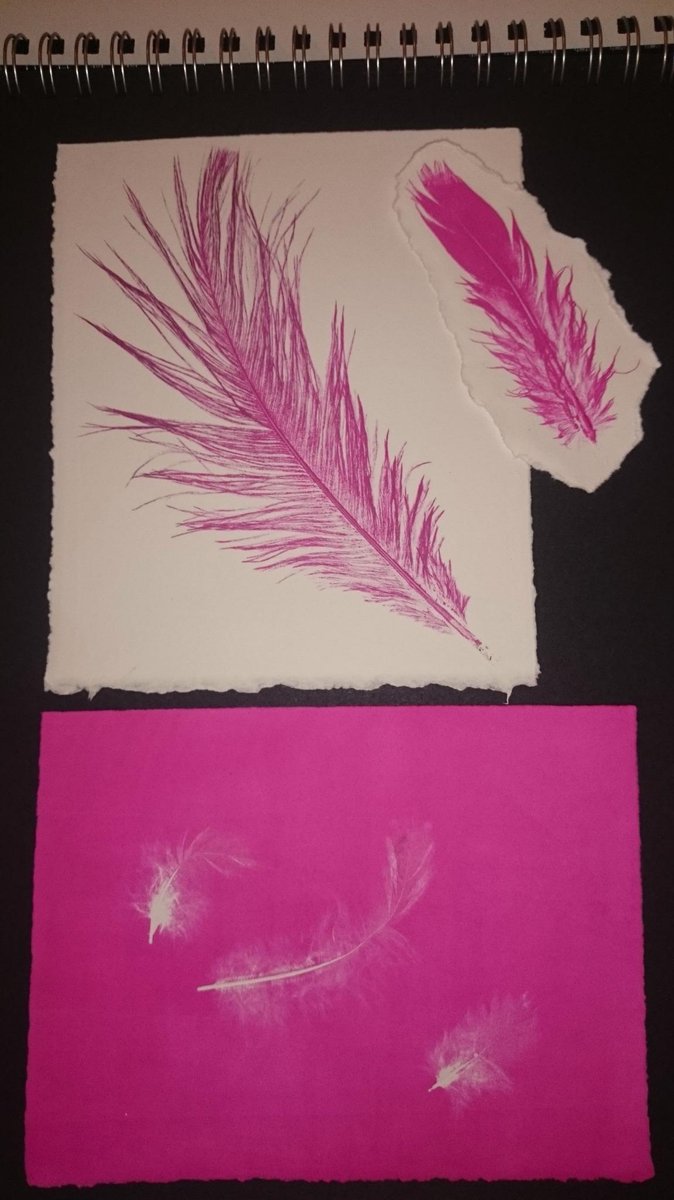 lisa_illustrate's tweet image. A great productive #printing #etching session with #MelMadeDesign yesterday, thanks!!! :))