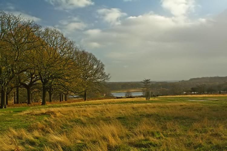 It's a bright &amp; sunny day so why not take the kids on #halfterm to one of London's great parks ow.ly/JaR9u