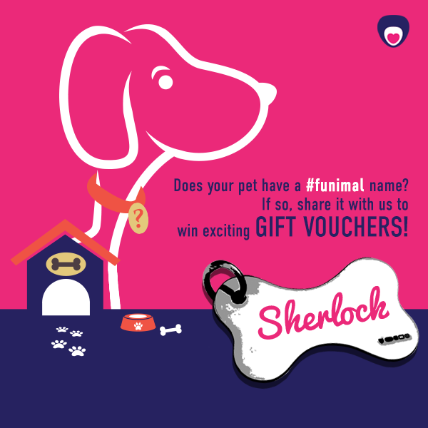 PetwishIndia's tweet photo. Does your #pet have a #funimal name? If so, share those stories & you could win exciting gift vouchers! #Contest http://t.co/uzrLn1CU0F